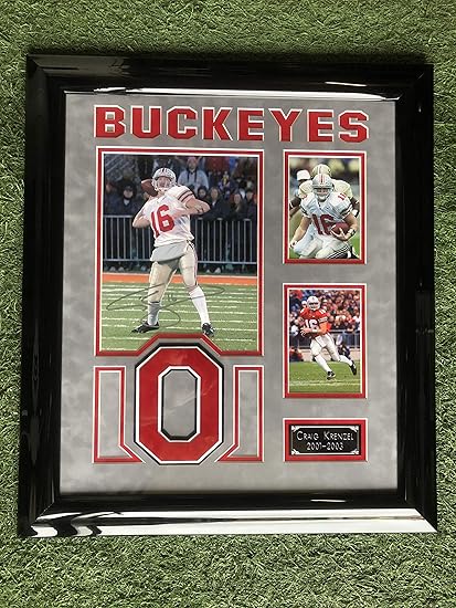 ohio state buckeyes team store