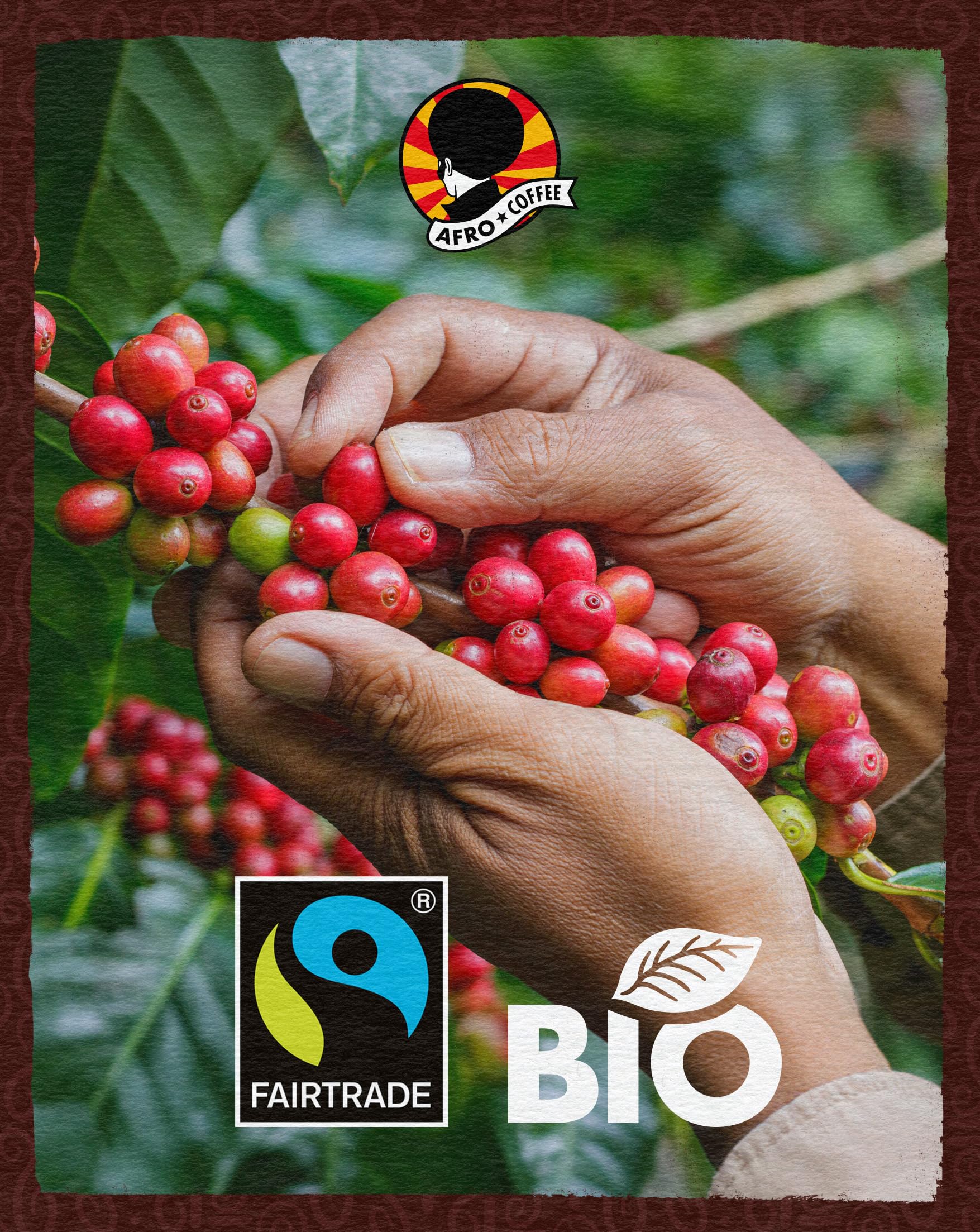 AFRO COFFEE Dark & Elegant I 500g Premium Bio Kaffeebohnen Fairtrade I 100% Arabica Kaffee Bohnen I Bohnenkaffee aus Äthiopien mit Noten von Bitterschokolade I handgepflückt, dunkel geröstet, säurearm 5