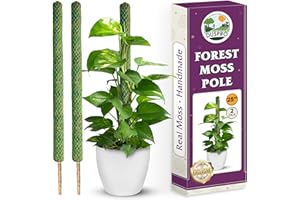 DUSPRO 2 Pack 25’’ Mesh Moss Pole for Climbing Plants, Natural Moss Pole Monstera Plant Support, Real Moss Poles for Plants Indoor, Moss Stick for House Plants, Moss Stakes for Climbing Plants
