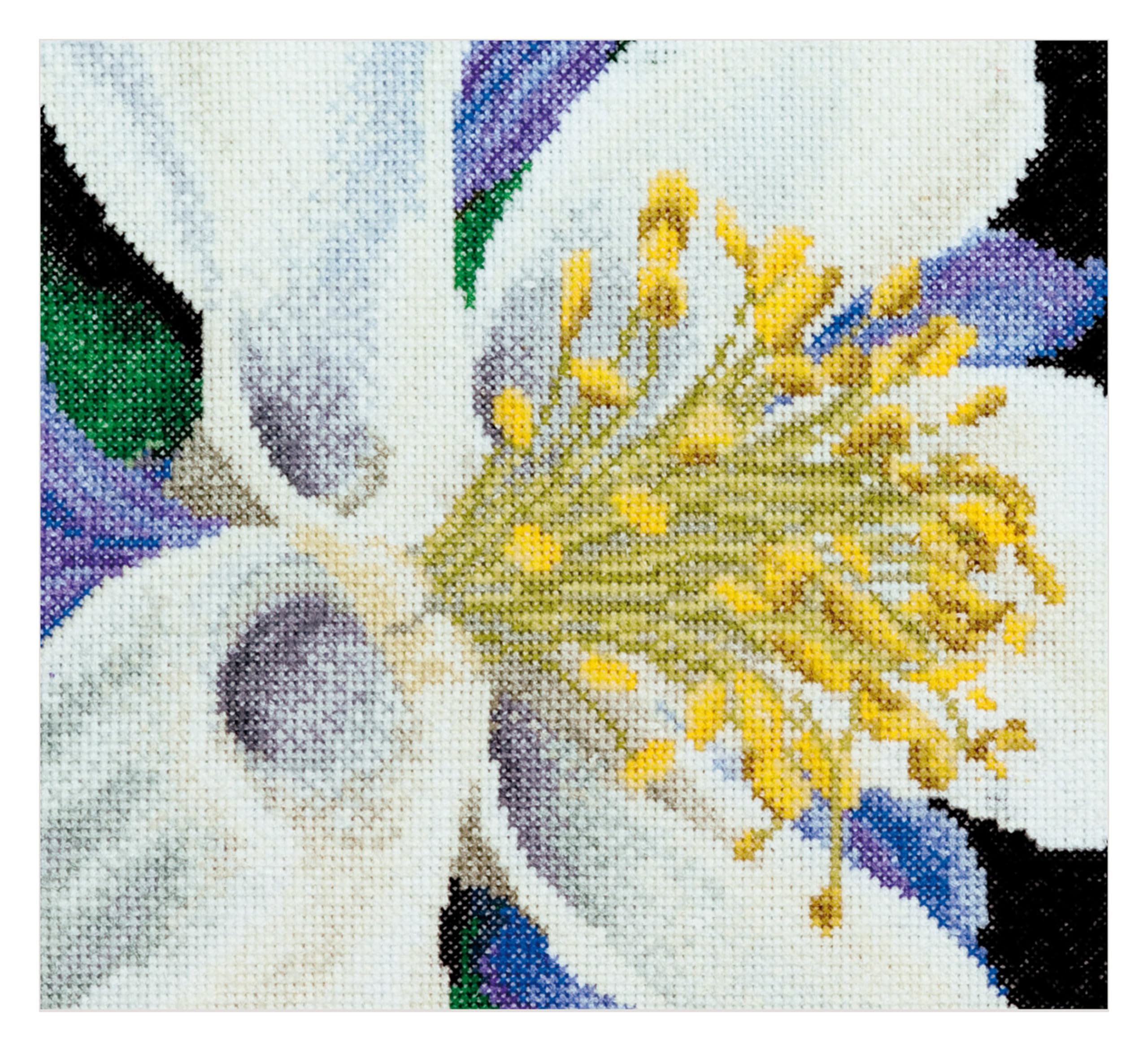 Thea Gouverneur Columbine On Aida Cross Stitch Kit-6-inch x 5.5-inch 18 Count, Fabric, 493A White