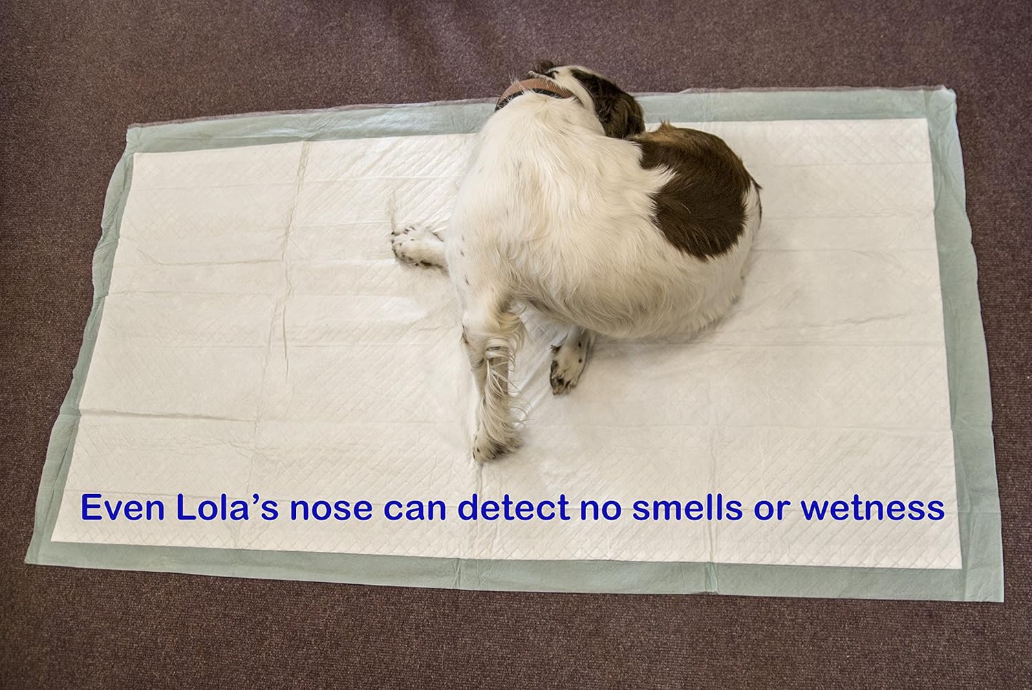 Extra large dog toilet training pads 150 x 80 cm 2300 ml - Super absorbent pet incontinence pads pack of 20 by Speedwellstar - Image 5