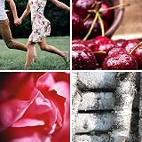 Glade Sense & Spray Cherry & Peony Refill Duo Pack 2 x 18ml Motion Activated view 7