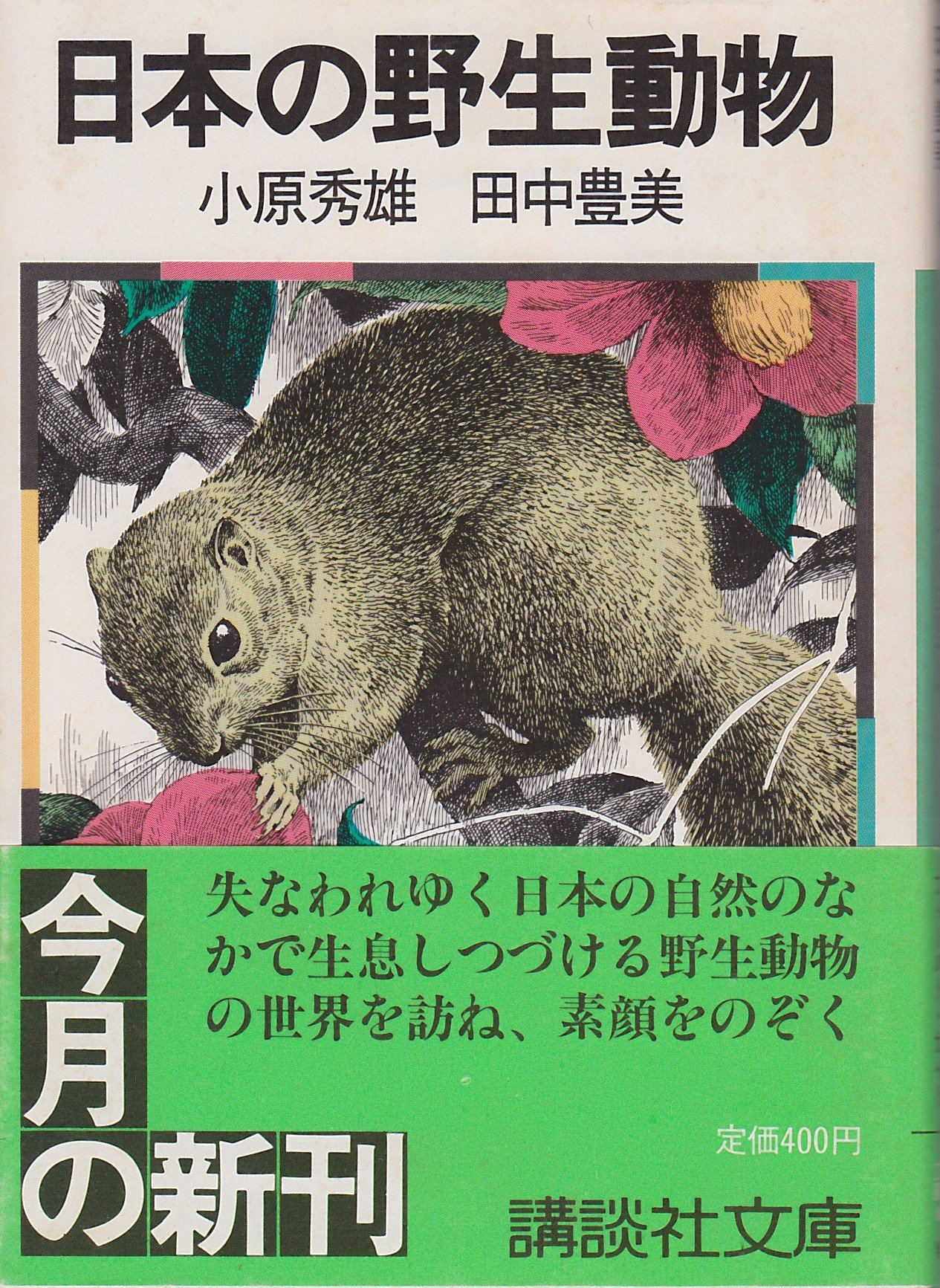 日本の野生動物 講談社文庫 秀雄 小原 豊美 田中 本 通販 Amazon