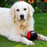 Petface Lindy the Ladybird Plush Dog Toy with Squeaker view 4