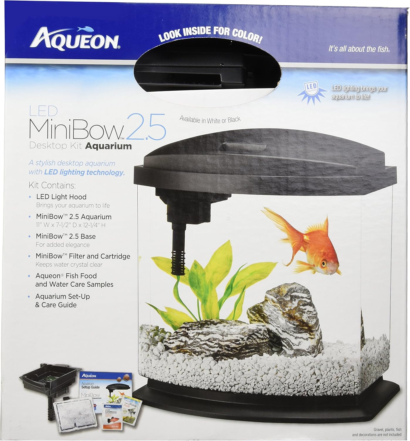 2.5 gallon fish tank petco