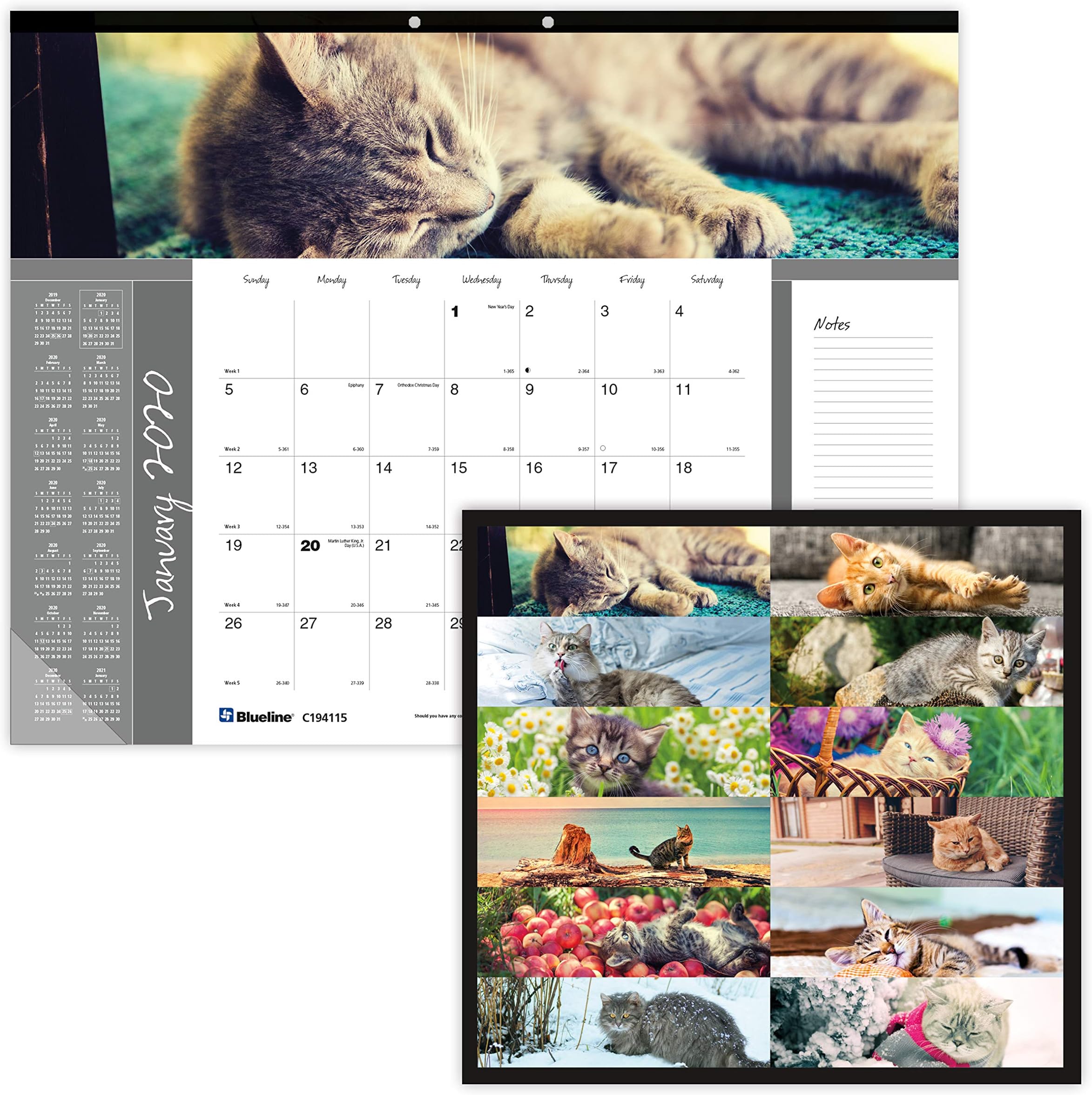 Blueline 2020 Monthly Desk Pad, English, 22 x 17 Inches, Furry Collection (C194115-20)