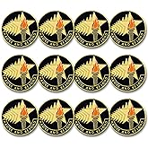 SHOP AWARDS AND GIFTS Student, Volunteer, Employee, Award Lapel Pins Appreciation Reward, 1 Inch Above and Beyond, Pack of 12