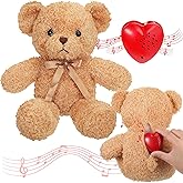Hungdao Bear Stuffed Animal with Voice Recorder Set, 60 Seconds Voice Sound Recorder Module 16 Inch Soft Plush Bear Cute Stuf
