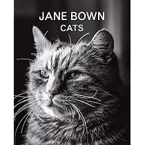 Jane Bown: A Lifetime of Looking: Bown, Jane: 9781783350858: Books