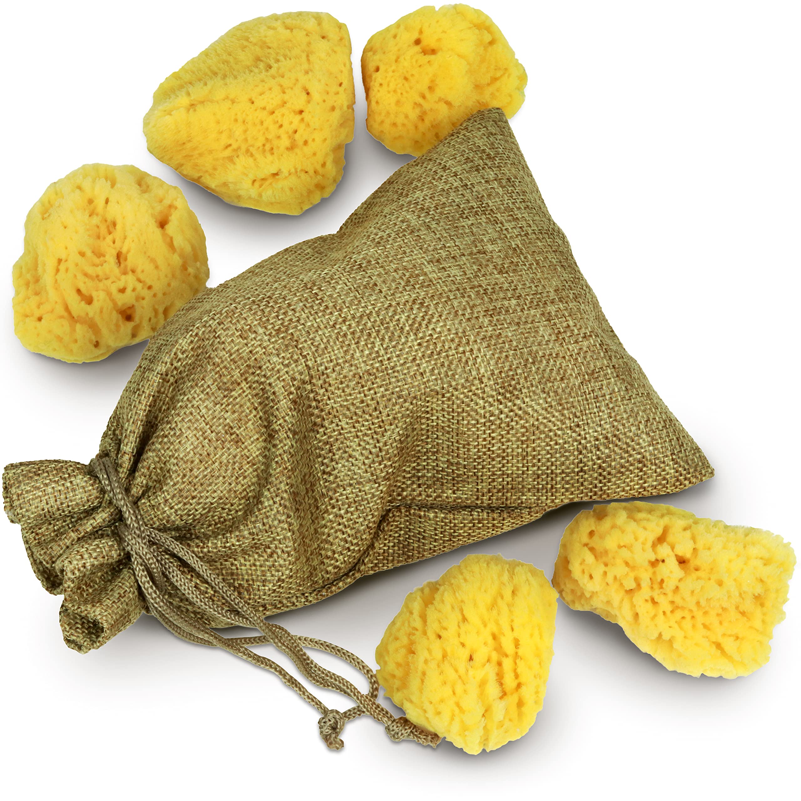 tom&pat® Natural Sea Sponge • Painting and Pottery Sponge • for Kids and Artists • Acrylic and Watercolor • Dermatest Excellent • Washable • Mediterranean Quality Greece (5 x 3-7 cm)