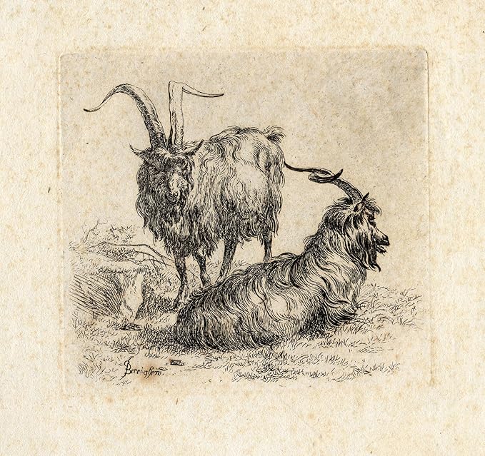 Amazon Com Antique Master Print Goat Long Haired Rest Berchem Ca