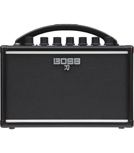 Amazon.com: AXL AA-G15-M Guitar Amplifier, 15W : Musical Instruments