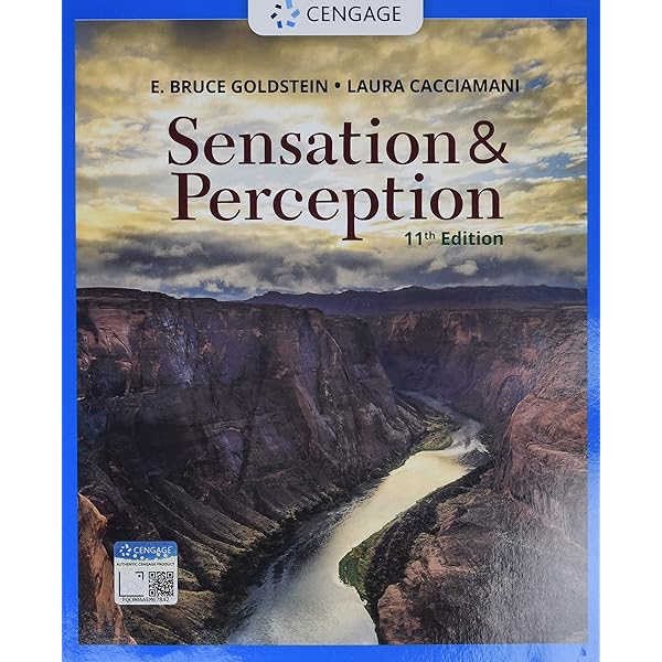[美品]Sensation & Perception 2nd edition Amazon.com: Sensation and Perception: 9781506383910