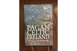 Pagan Celtic Ireland: The Enigma of the Irish Iron Age