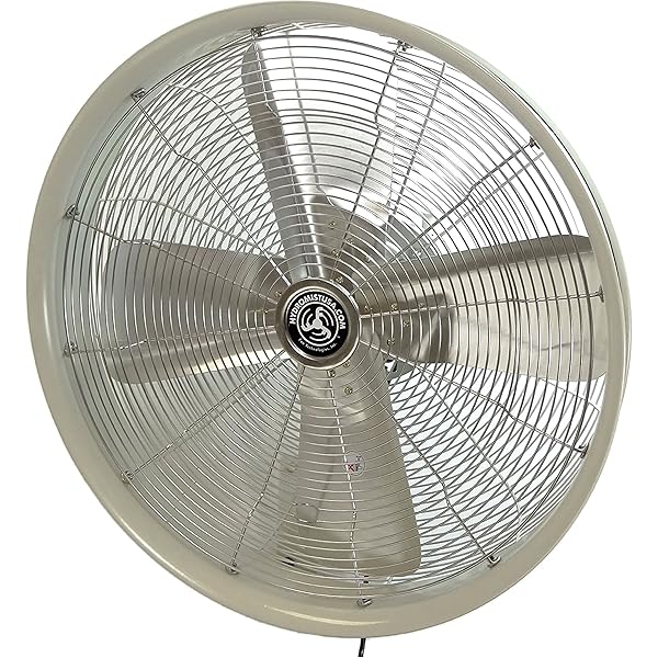 Manitowoc Ice 3400643 Fan Guard Remote Condenser: Amazon.com 