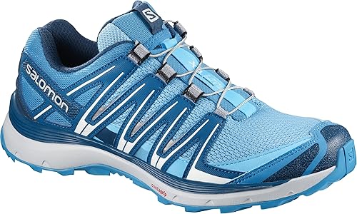 brooks dyad 8 uomo rose