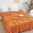 Aganear Fleece Blanket Queen Size - Plush Cozy Boho Fall Decor Throw Blanket for Couch, Sofa, Bed, Office, Warm Decorative Pr
