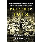 Pandemic 1918: Eyewitness Accounts from the Greatest Medical Holocaust in Modern History