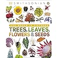 Trees, Leaves, Flowers and Seeds: A Visual Encyclopedia of the Plant Kingdom (DK Our World in Pictures)