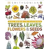 Trees, Leaves, Flowers and Seeds: A Visual Encyclopedia of the Plant Kingdom (DK Our World in Pictures)