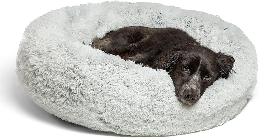 shaggy dog bed
