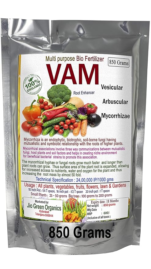 Jio Green garden Store VAM Vesicular Arbuscular Mycorrhizal biofertilizer granules 850 Grams for Root Development