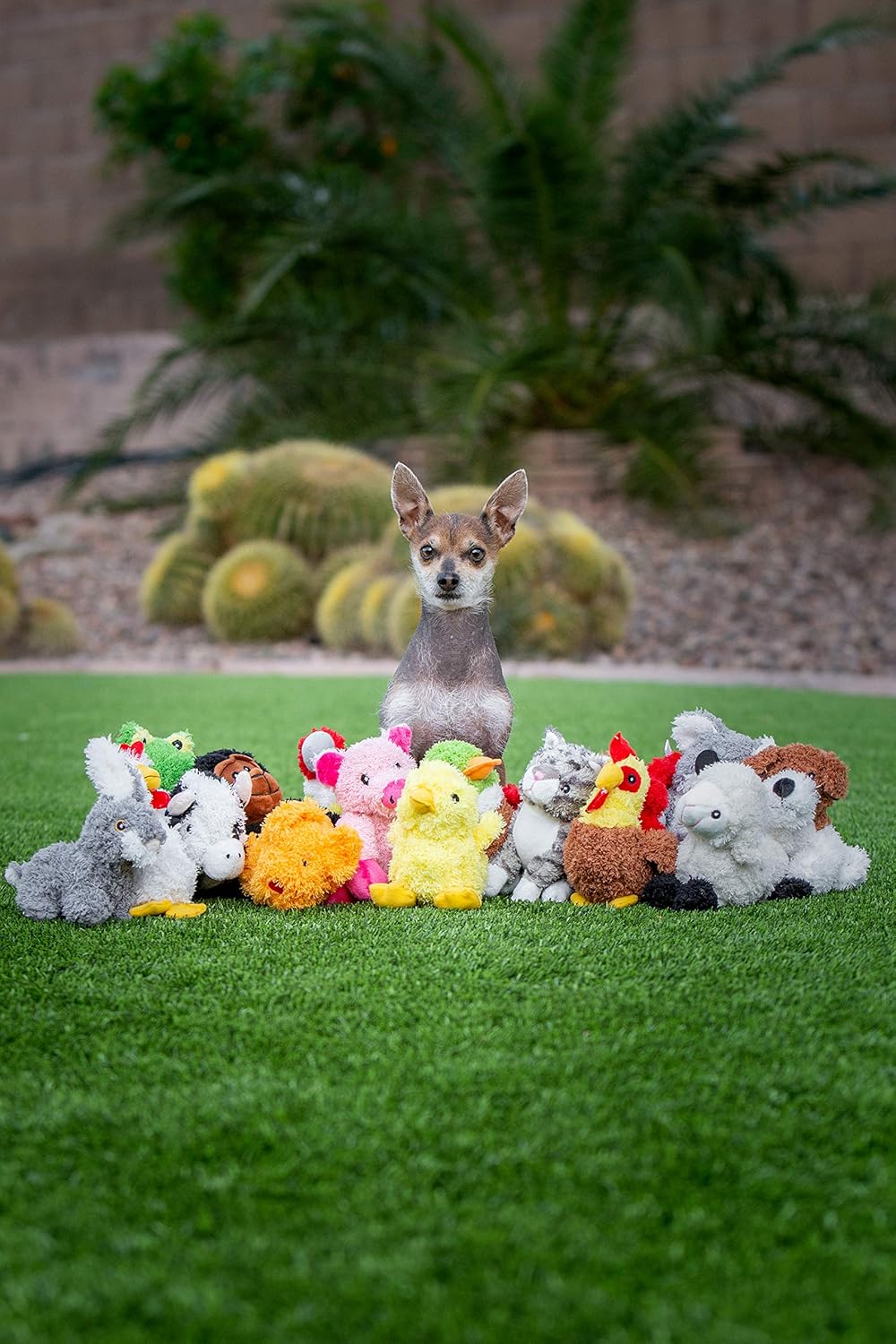 Multipet Look Who's Talking Pig Dog Toy : Plush Animal Toys : Pet Supplies