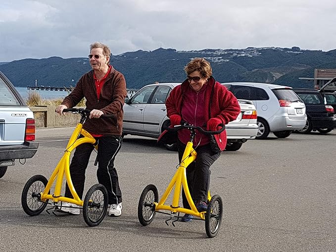 Alinker Walking Bike Amazon Hotsell, 54 
