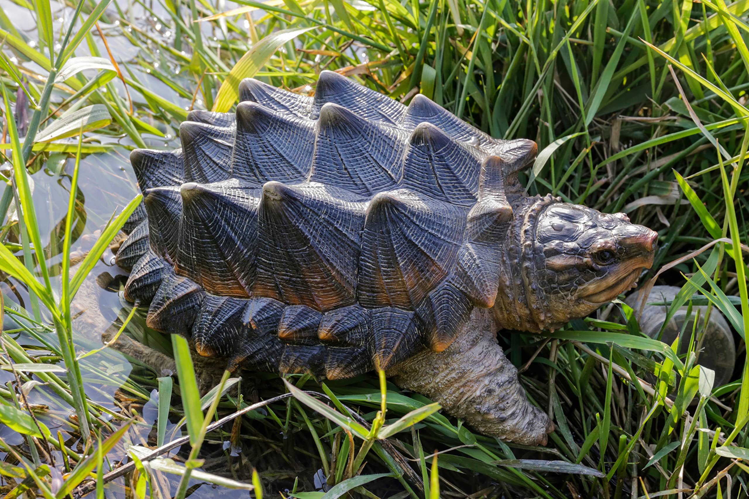 Hi-Line Gift Ltd. SNAPPING TURTLE STATUE