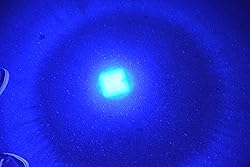 WAYLLSHINE Scalable Blue LED 3 Mode Long Range Blue