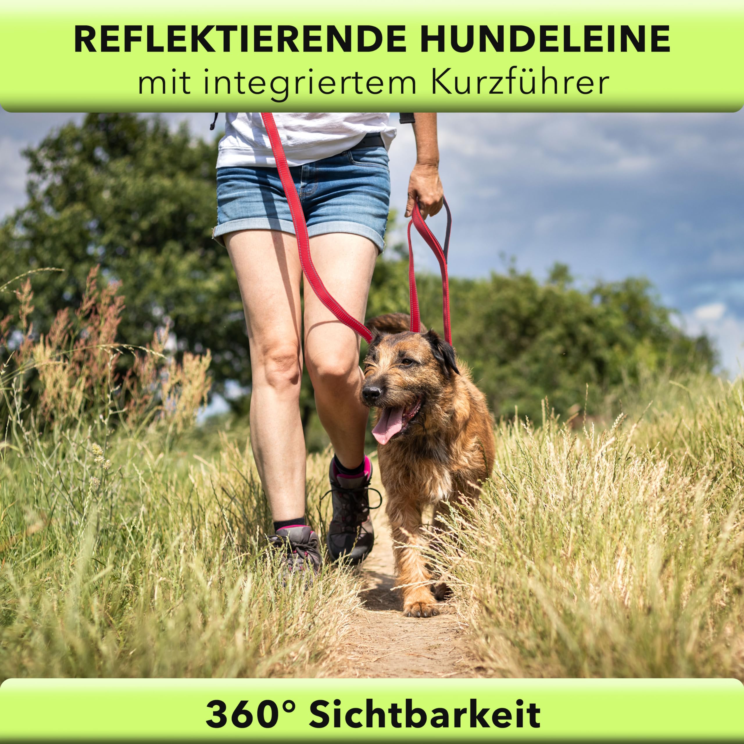 View 2