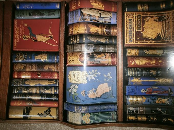 Hobbies Bookshelf Wrapping Paper (4 Sheets) Amazon.co.uk Office Products