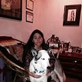 Amy Krout-Horn