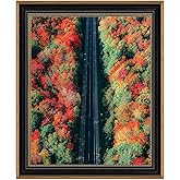 Space Art Deco, 16x20 Ornate Picture Frame Without Mat for 16x20 Photo,Shatter-Resistant Glass Sawtooth Hangers Wall Mount Display(Color Black/Ornate Gold)