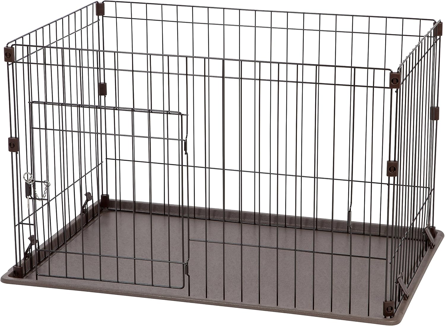 bichpoo for sale near me