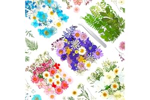 VIGNEE 170Pcs+ Real Dried Pressed Flowers Leaves Petals for Crafts-Beautiful Pressed Flowers Daisies for Resin Jewellery, Pressed Flowers Nail Pendant Crafts Making Craft DIY Accessories with 1pcs tweezers
