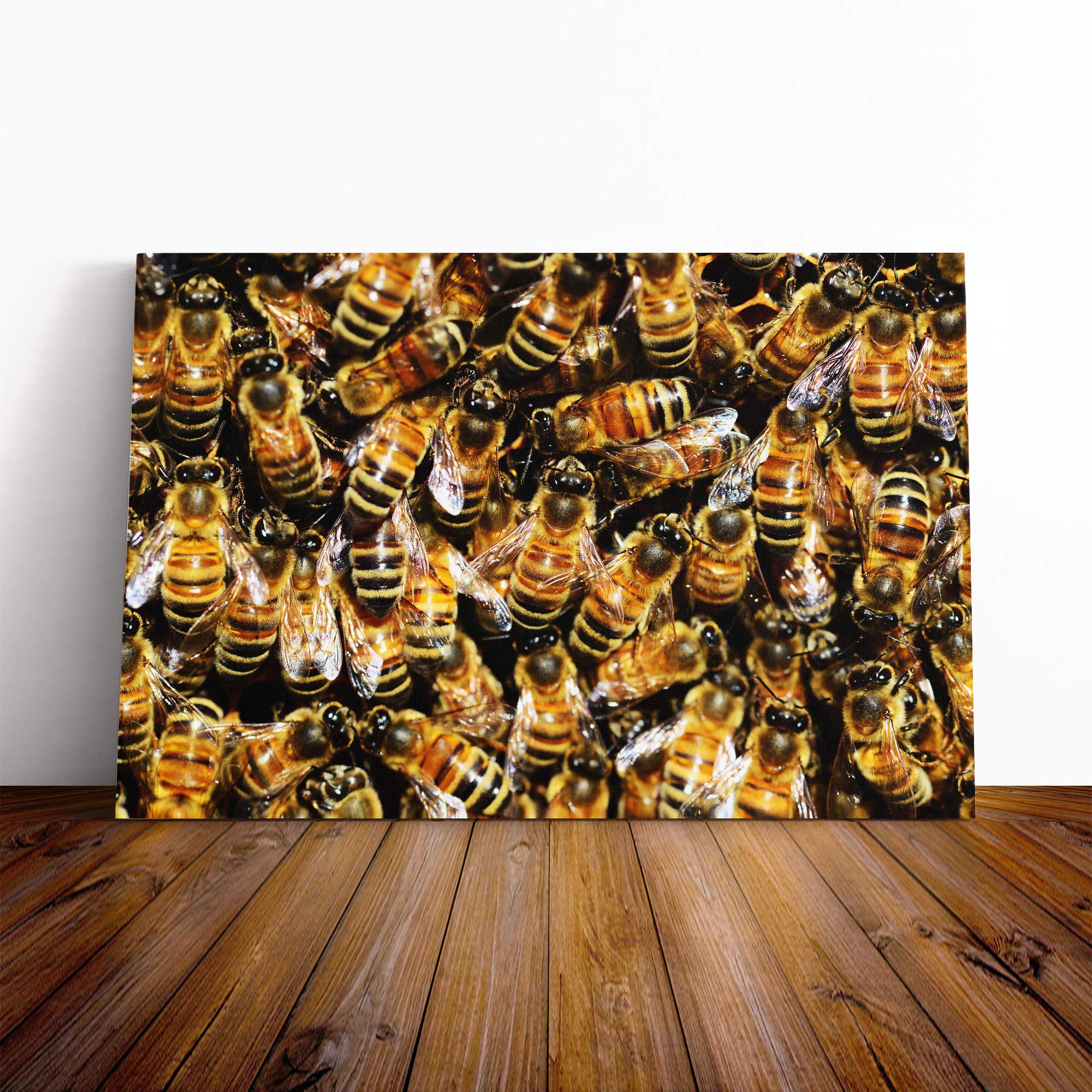 Honey Bee Canvas Print | Gallery Wrapped 30mm Frame Wall Art | 20x14 inches | Ready to Hang | Modern Animals Picture | Living Room Bedroom Lounge Office