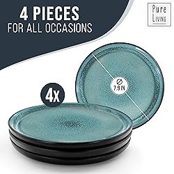 PURE LIVING INTERIOR DESIGN Small Dinner Plates Set