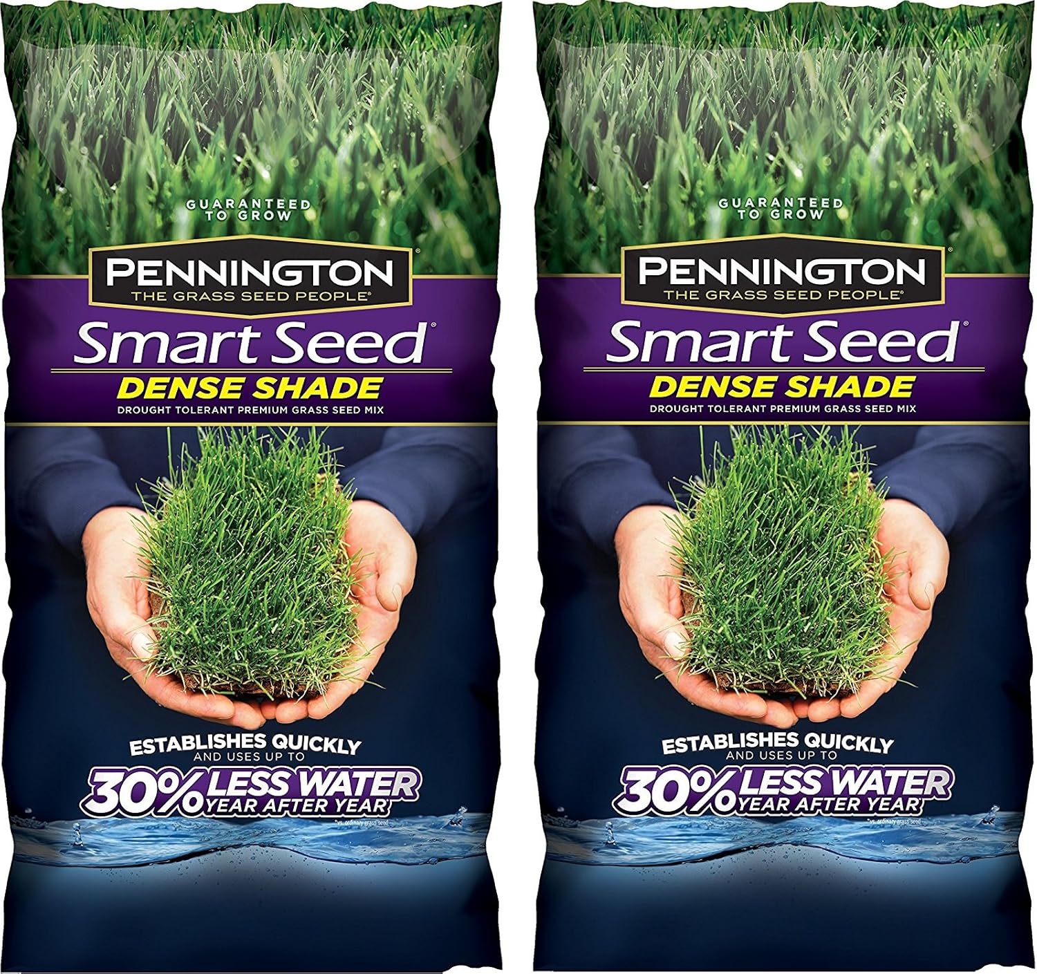 Pennington Smart GspgqX Seed Dense Shade Premium Grass