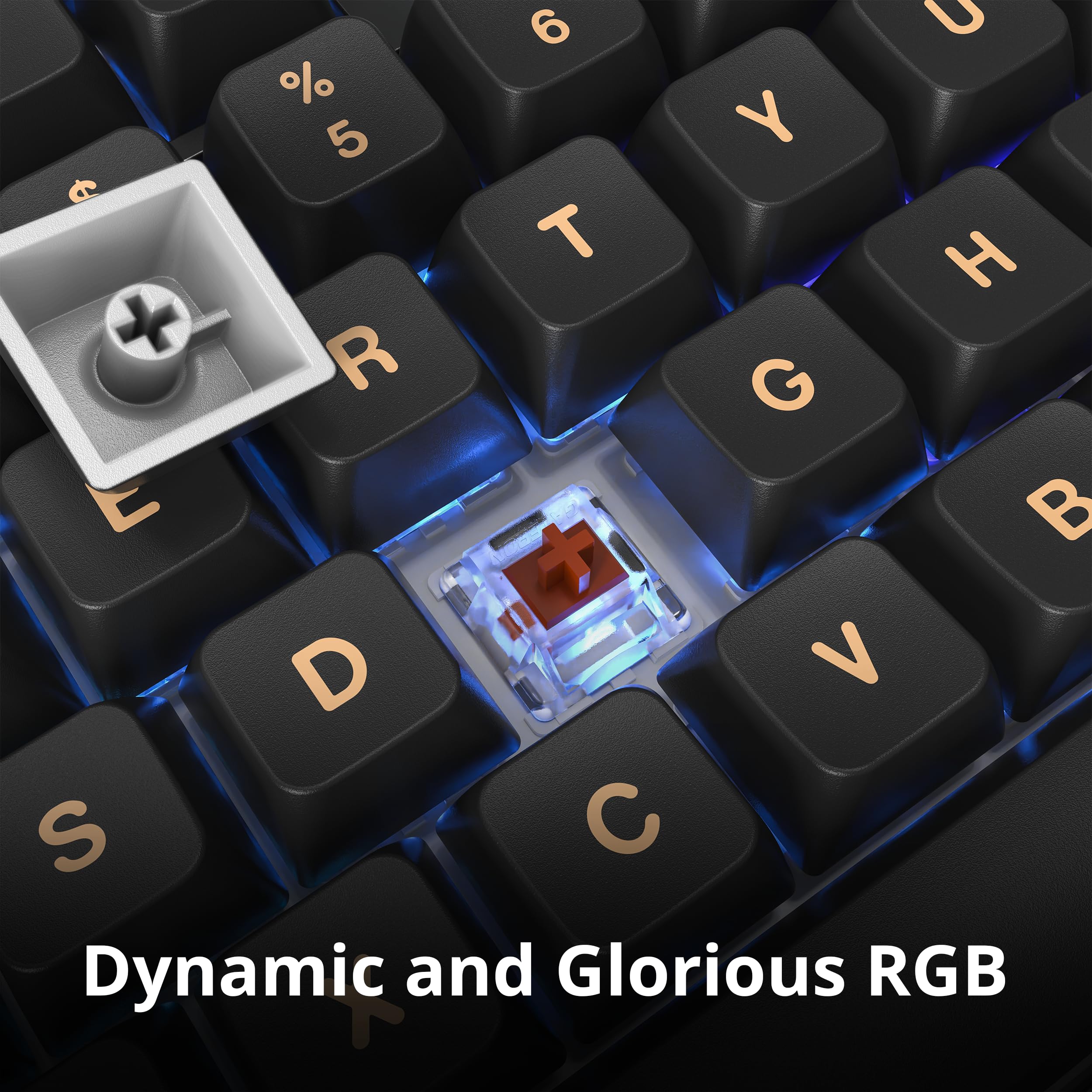 Montech MKey Mechanical Gaming Keyboard: Customizable RGB LED, Premium MDA Profile PBT Keycap, Hot-Swappable Gateron G Brown Pro 2.0 Pre-lubed Switches, Osaka Castle Theme, Darkness (MK105DB)