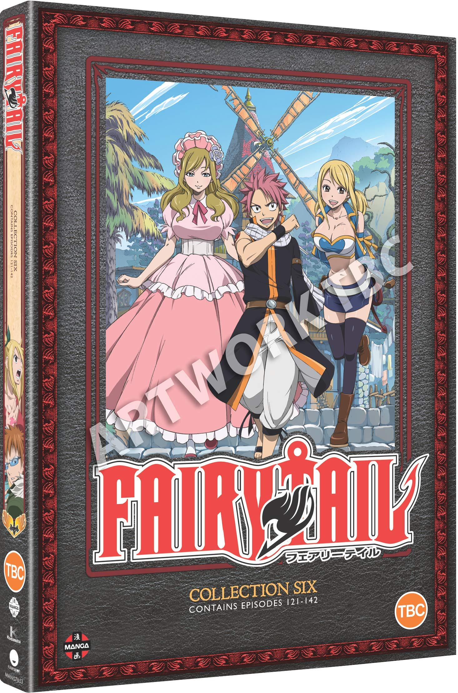 Fairy Tail Collection 6 (Episodes 121-142) [DVD]