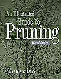 Illustrated Guide to Pruning
