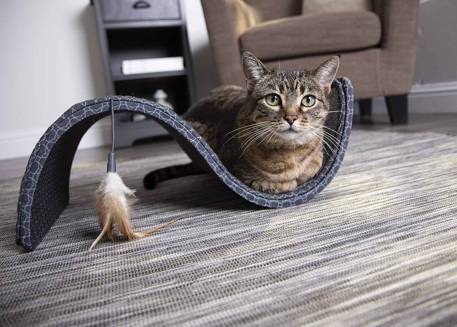 SmartyKat Scratch Scroll Cat Scratcher Carpet and Sisal Cat Furniture - Assorted colors : Scratching Pads : Pet Supplies
