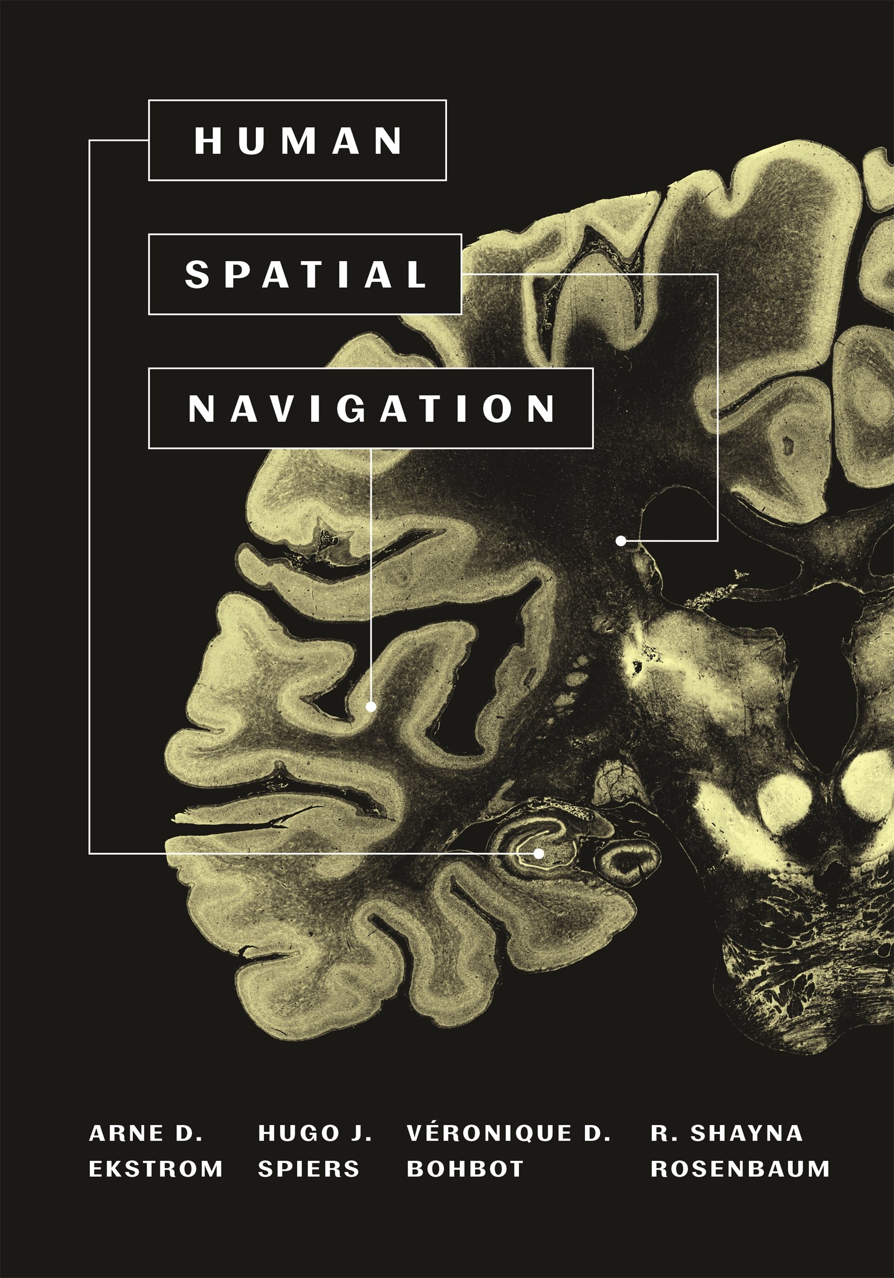 Image result for human spatial navigation book