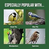 Honeyfield's Suet Balls for Wild Birds 50 Pack High Energy Fat Balls view 4