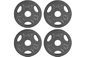 WF Athletic Supply Cast Iron 1-Inch Standard Grip Plate for Strength Training, Muscle Toning, Weight Loss & Crossfit - Multiple Choices Available