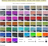 Hemway Glitter Shaker Bronze Brown Holographic 130g Chunky Craft Glitter view 7