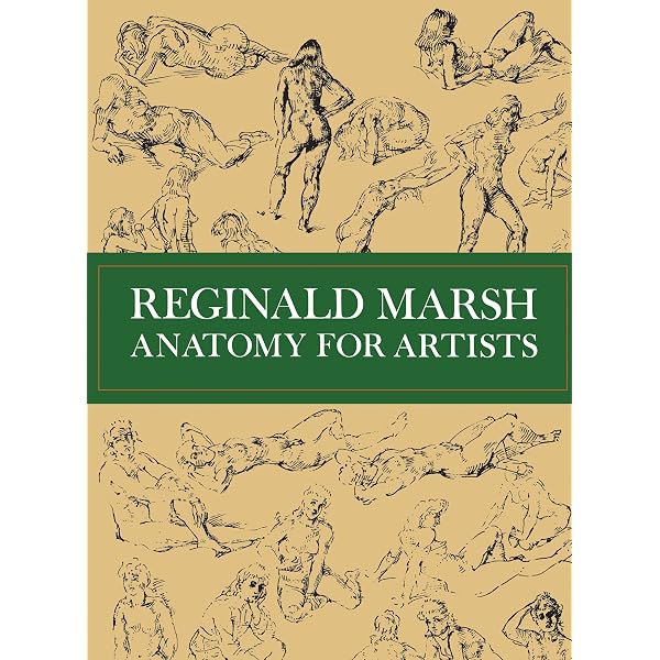 Amazon.com: A Handbook of Anatomy for Art Students (Dover Anatomy