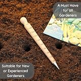 Muldale Garden Dibber Tool Beechwood Steel Seed Planter 20cm Planting Bulb Hole view 2