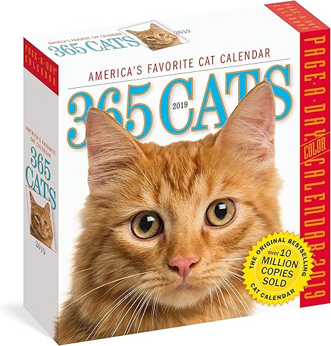 Download 365 Cats 2019 Calendar PDF
